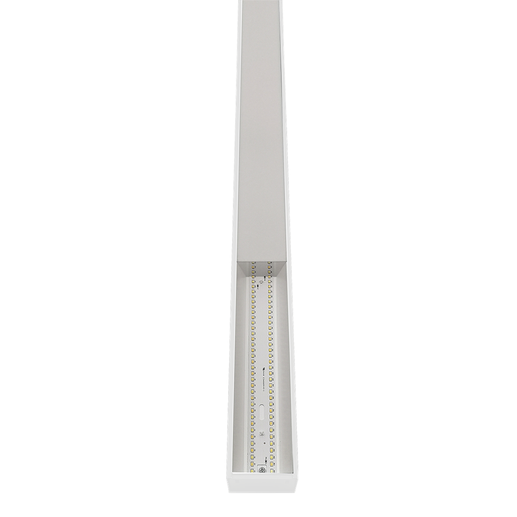 RENO-TLSN2-DV-MCCT-MW-WH-G2(2FT)