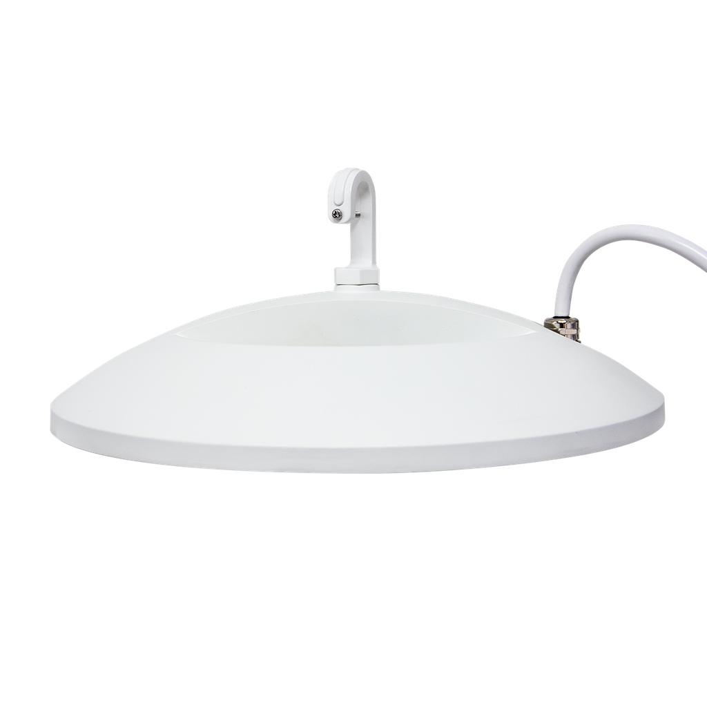 RENO-SLEEK-HUB-DV-MW-MCCT