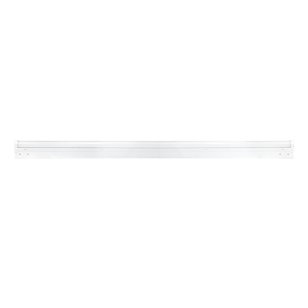 RENO-LSN4-DV-MW-MCCT-ECO-MS