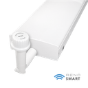 RENO-WHWR4-DV-MV-MCCT-2.webp