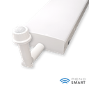 RENO-WHWR4-DV-MV-MCCT-1.webp