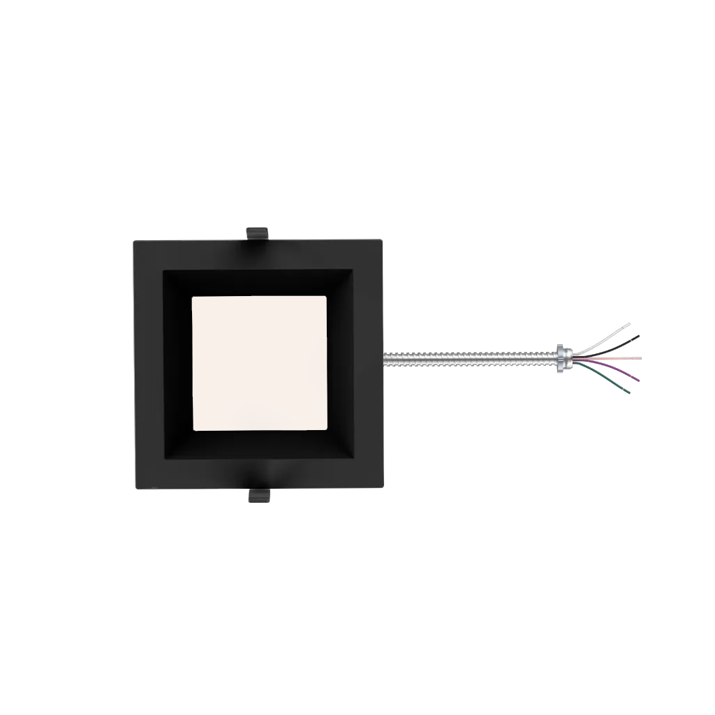 R36235__image__03.png