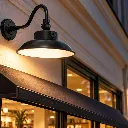 Goose-outdoor.webp
