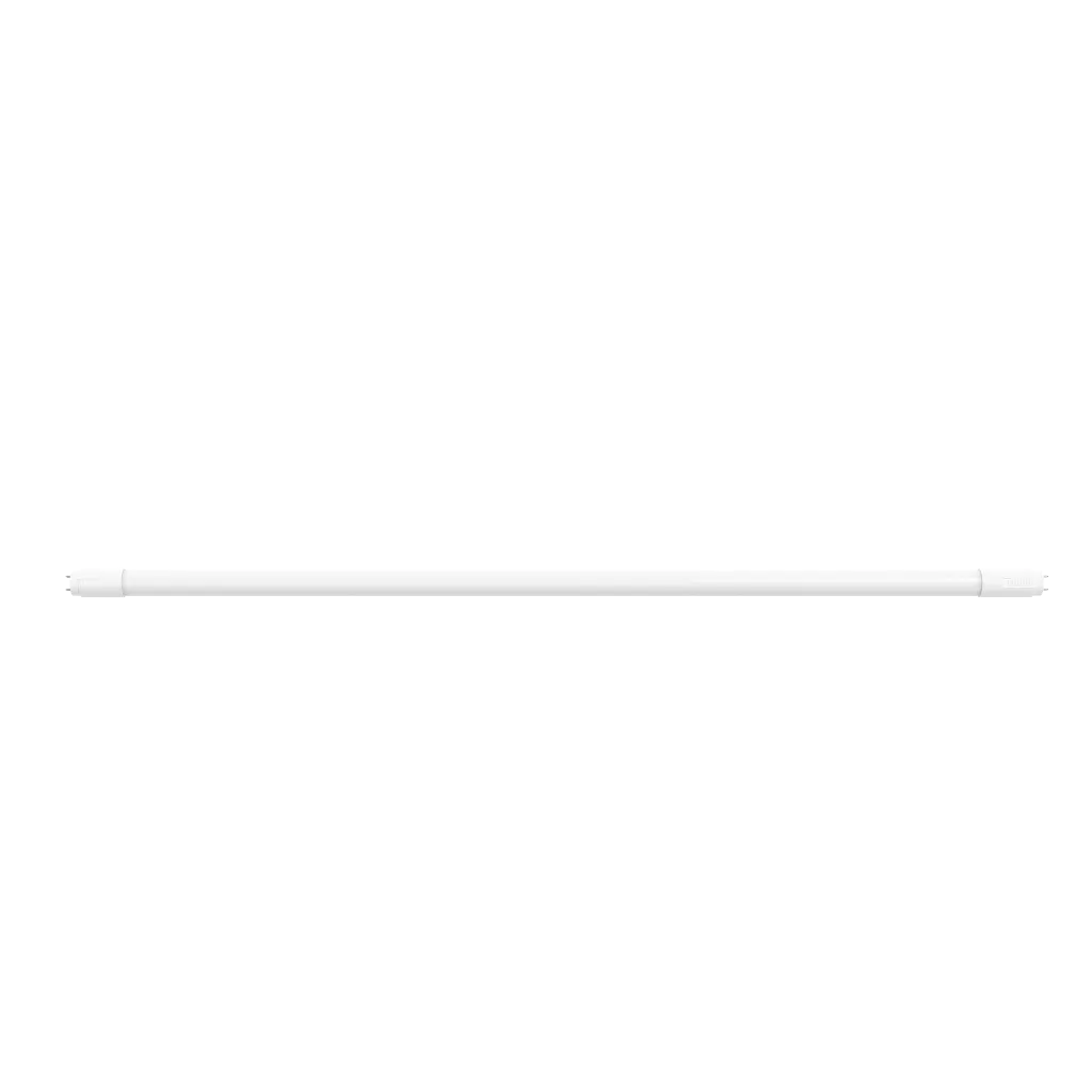 41029__03.webp