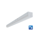 RENO-LSN4-DV-MW-MCCT-MS