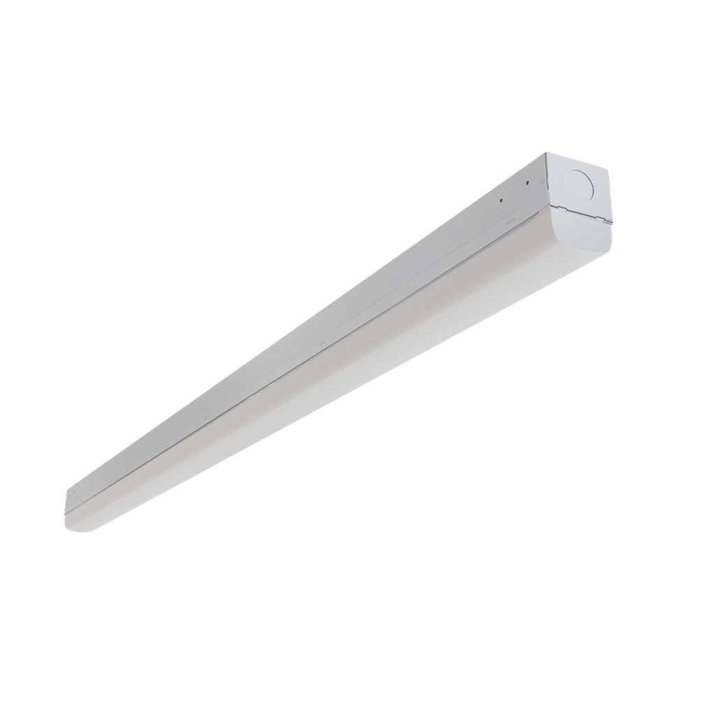 [R33022] RENO-LSN4-DV-MW-MCCT-ECO