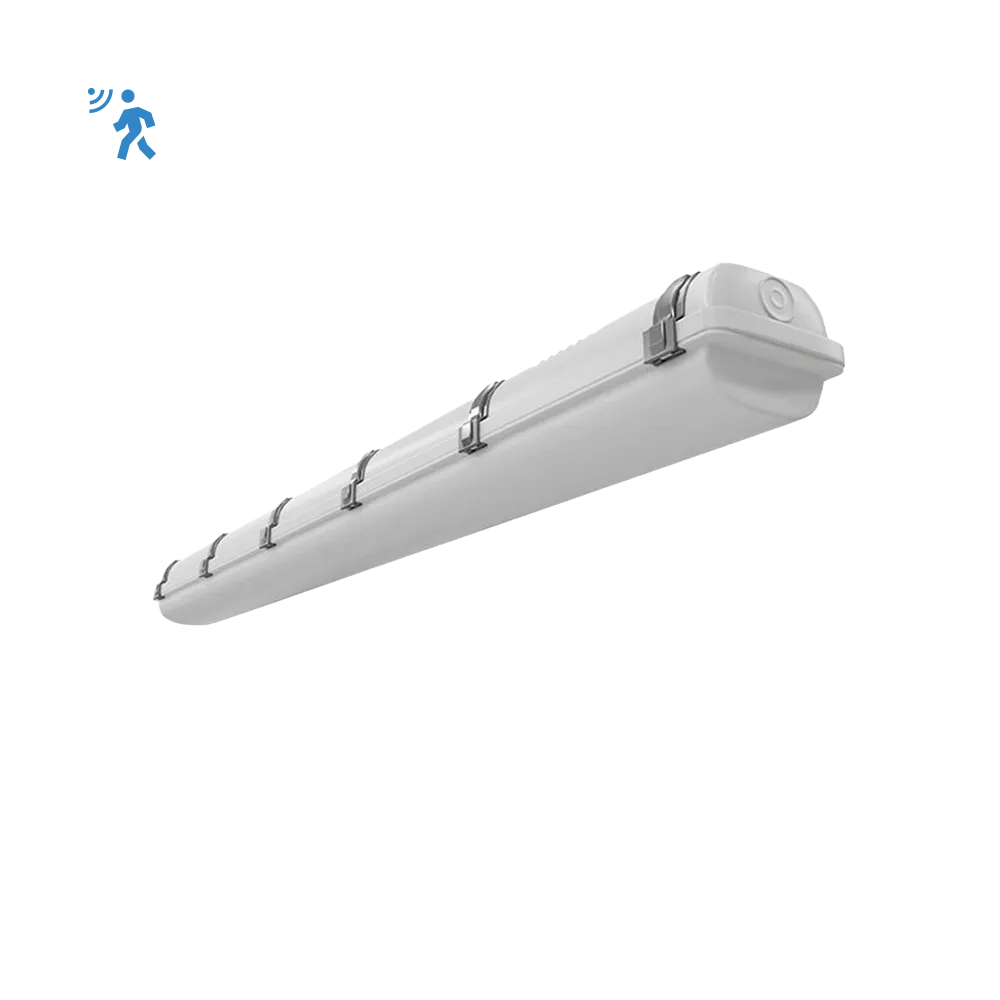 RENO-LVP4-DV-MW-MCCT-R2-MS