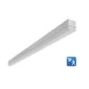 RENO-LSN4-DV-MW-MCCT-ECO-MS