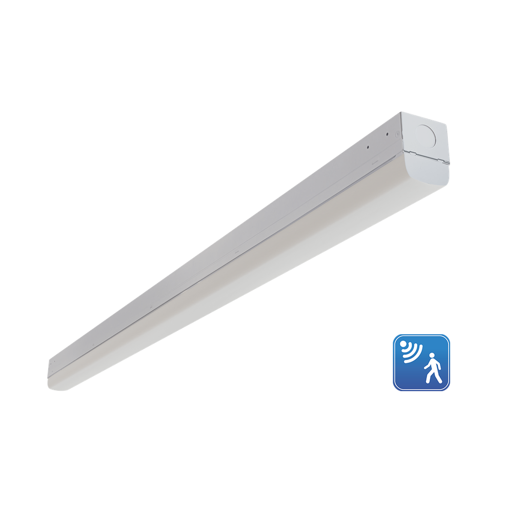 RENO-LSN8-DV-MW-MCCT-ECO-MS