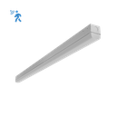 RENO-LSN8-DV-MW-MCCT-ECO-MS