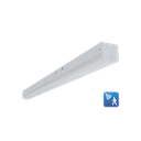 RENO-LSN8-DV-MW-MCCT-HL-MS 