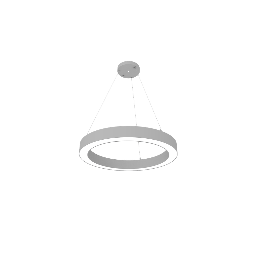 RENO-CIRSUS-24-DV-MW-MCCT-WH 