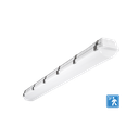 RENO-LVP4-DV-MW-MCCT-R1-G2-MS