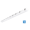 RENO-LVP8-MW-DV-MCCT-G2-MS