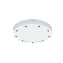 RENO-CIRSUS-CANOPY-3-WH