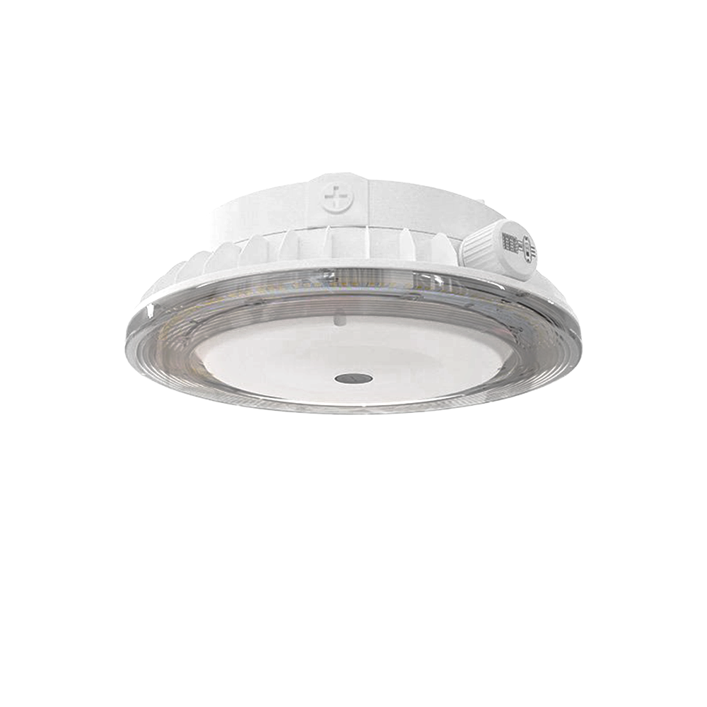 Extérieur / Luminaires de marquise / Luminaires de marquise ronds minces