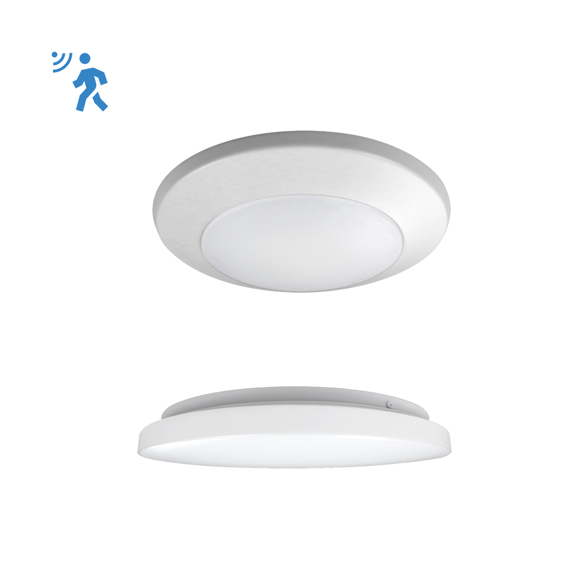 Indoor Fixtures / Ceiling Fixtures / Flushmount Fixtures