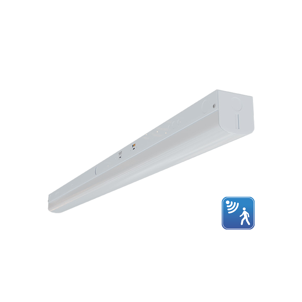 [R33033] RENO-LSN8-DV-MW-MCCT-HL-MS (8FT)