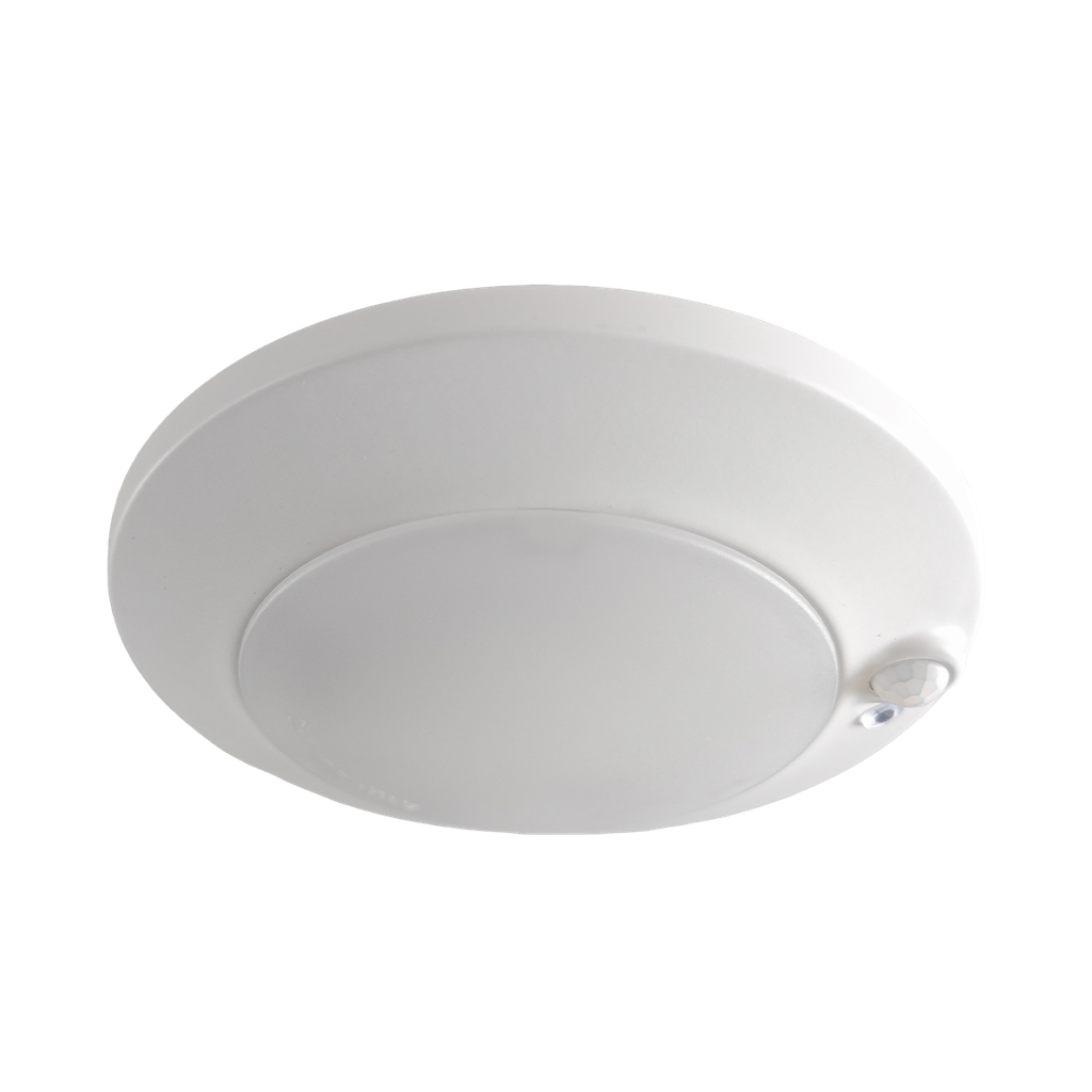 [R31053] RENO-DISK-PIR-4"-5CCT