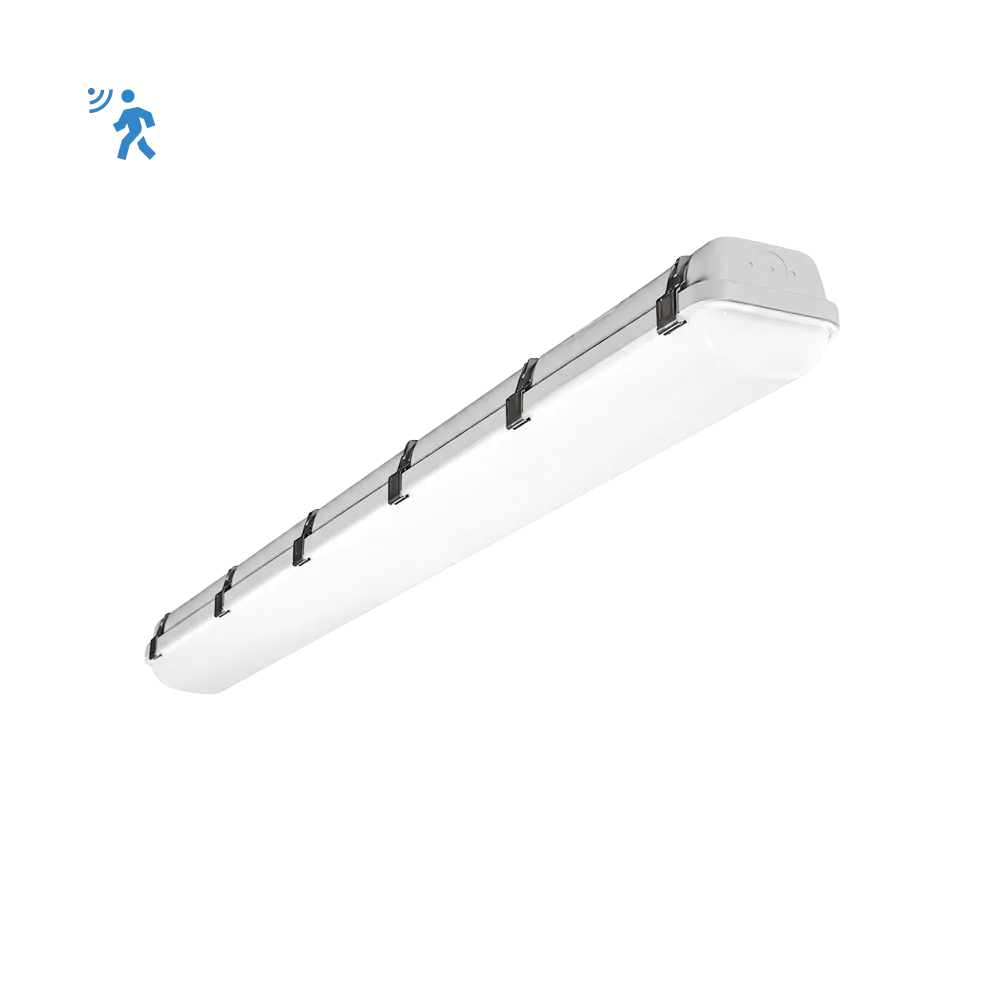 [R33134] RENO-LVP4-DV-MW-MCCT-R2-G2-MS