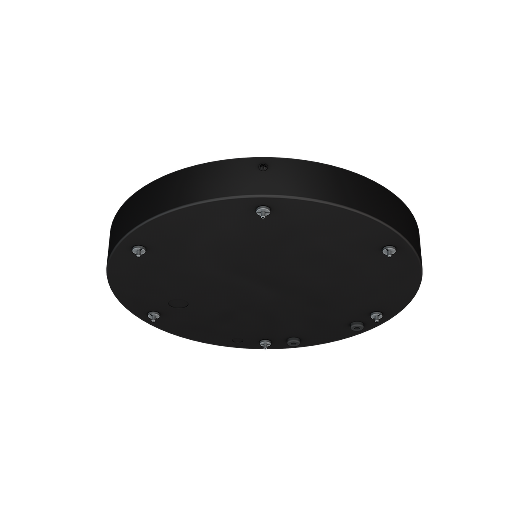 [R39541] RENO-CIRSUS-CANOPY-2-BK